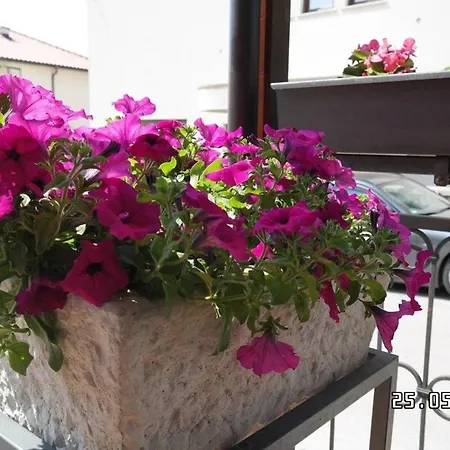Moderne In Mit Schoenem Garten アパート